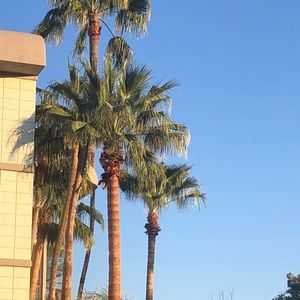 Meet your Posher, Sheila